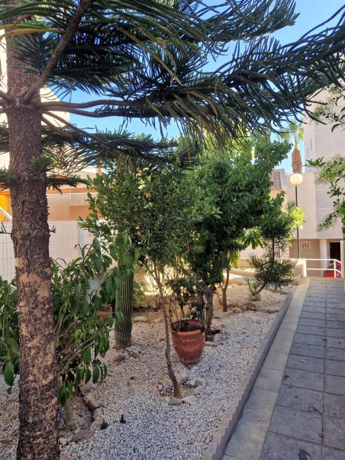 Magnifico Chalet Adosado En Torrevieja, Alicante. 外观 照片